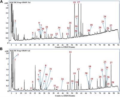 Regulation of intestinal microflora and metabolites of Penthorum chinense Pursh on alcoholic liver disease